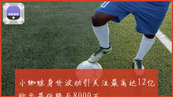 小蜘蛛身价波动引关注最高达12亿欧元最低降至8000万